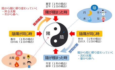 長陰|第12回 陰陽学説の人体への応用（3）陰陽転化 